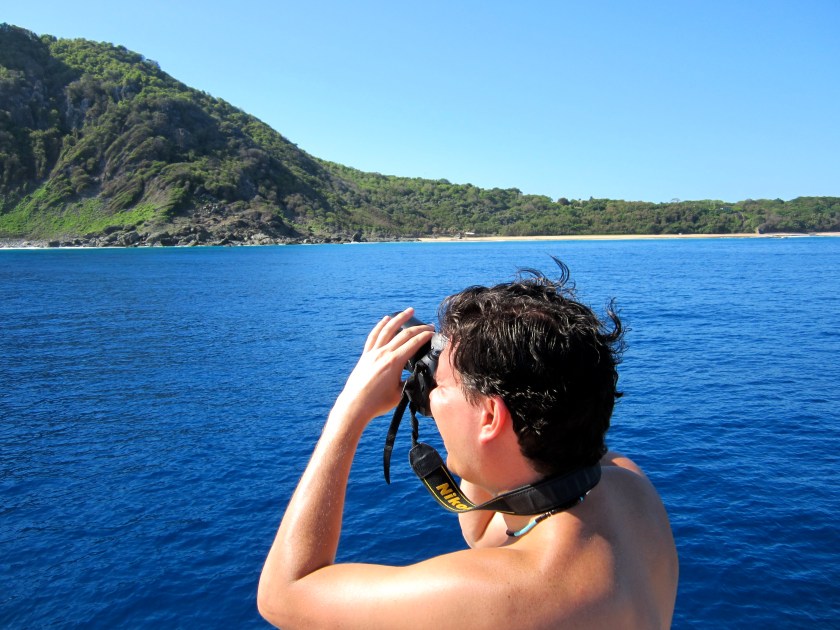 Searching for marine fish and dolphins