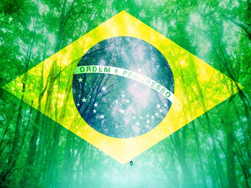 Brasil_MeioAmbiente2