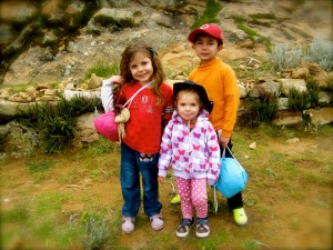 Go hiking through the Isla del Sol