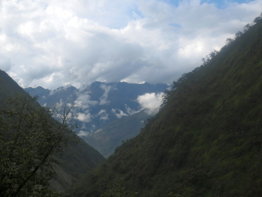 touring the Yungas region...