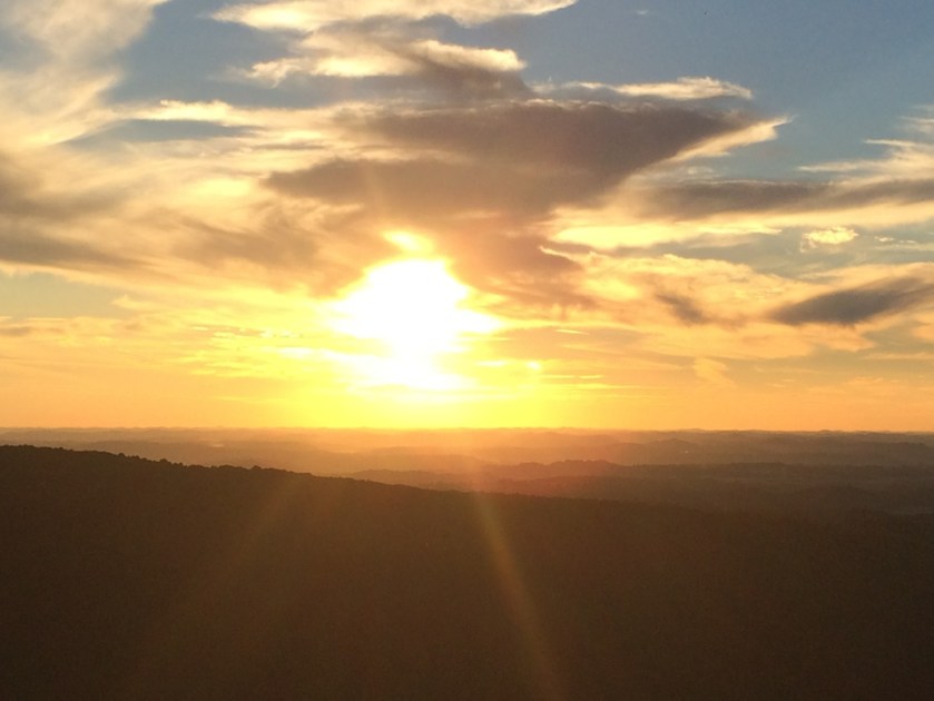 Featured Image -- 19392